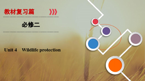 2019大一轮高考总复习英语课件:必修2 Unit 4 Wildlife protection 精品