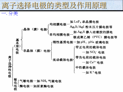 离子选择性电极