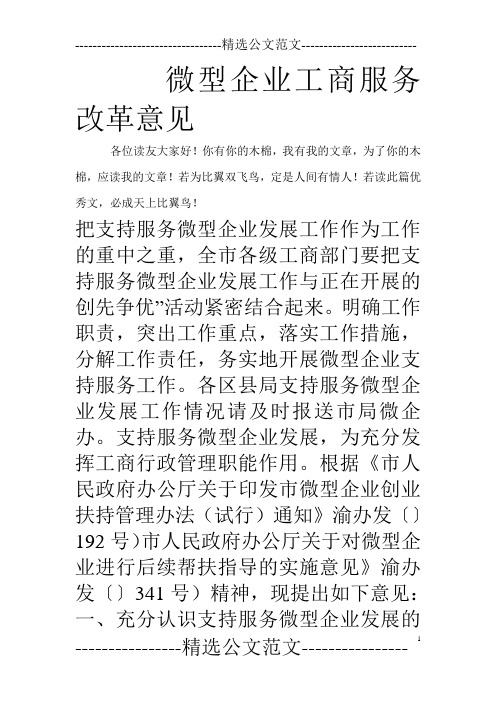 微型企业工商服务改革意见_0