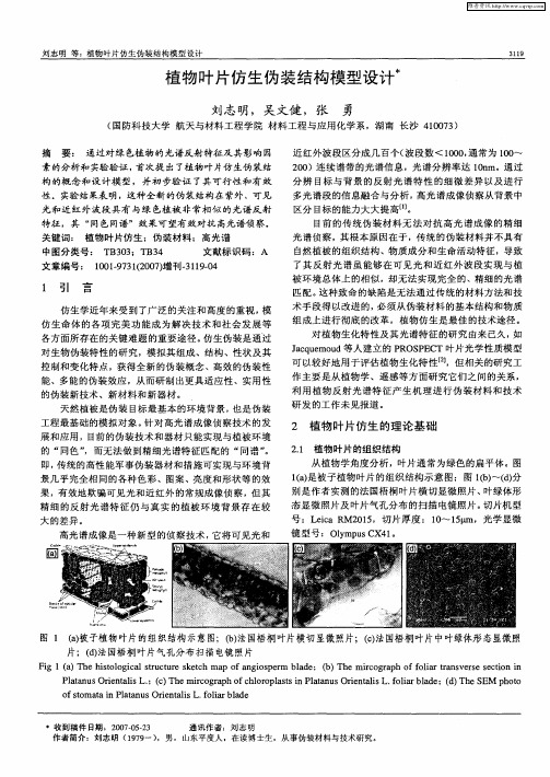 植物叶片仿生伪装结构模型设计