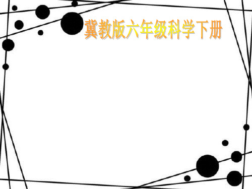 六年级下册科学课件3 美丽的建筑 冀教版 (共22页)PPT