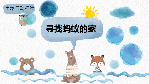 冀人版小学科学二年级下册7《寻找蚂蚁的家》课件