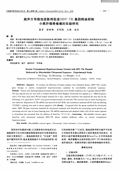 超声介导微泡造影剂促进HSV-TK基因转染抑制小鼠肝癌移植瘤的实验研究