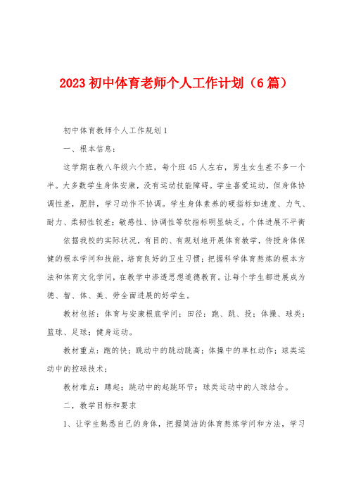 2023年初中体育老师个人工作计划(6篇)