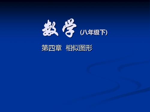 北师大版八年级数学下册第四章相似图形4.4相似多边形PPT课件