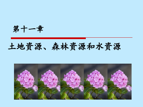 俄罗斯土地、森林、水资源