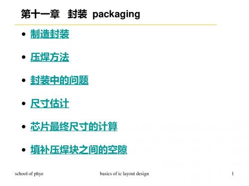 集成电路版图设计基础第11章：封装..