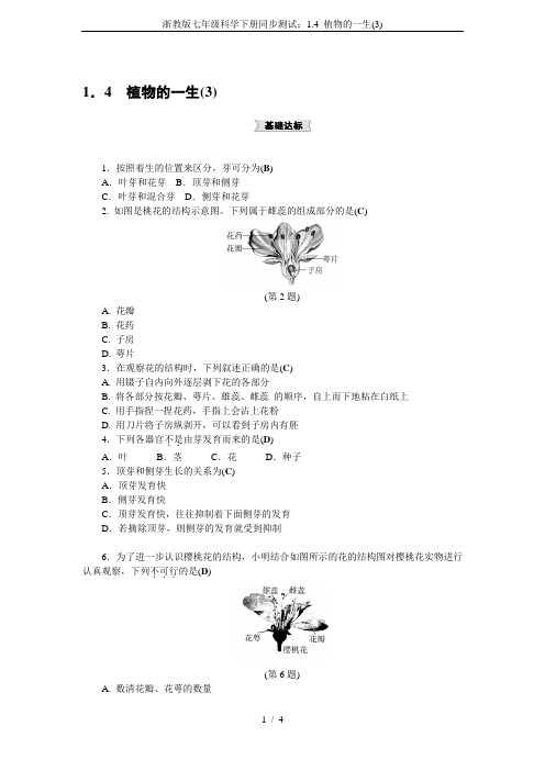 浙教版七年级科学下册同步测试:1.4 植物的一生(3)