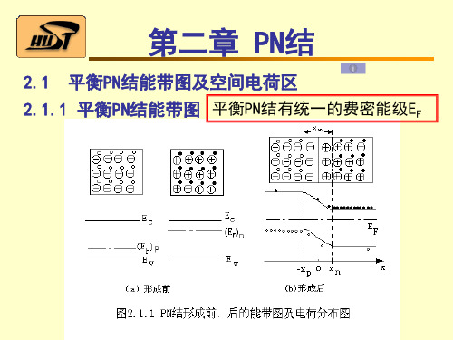 第二章 PN结