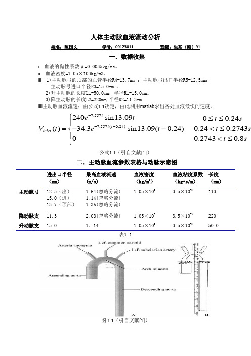 人体主动脉血液流动分析