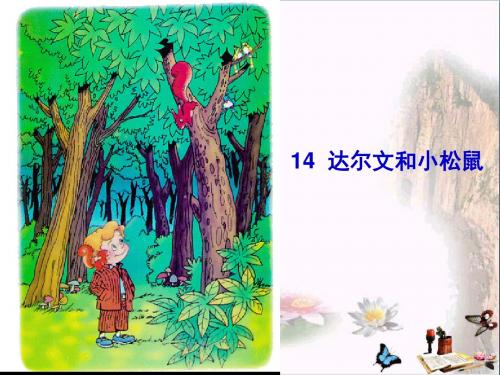 一年级语文下册课文414《达尔文和小松鼠》 PPT精品课件5语文S版