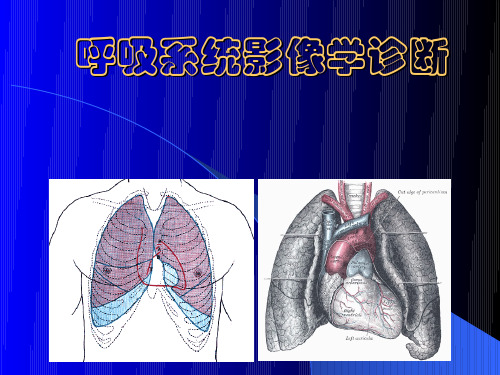 肺部基本病变的影像表现(肺门,纵隔,胸膜,横隔))