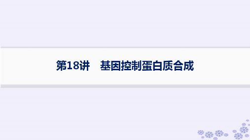 浙江专版2025届高考生物一轮总复习第5单元遗传的分子基础第18讲基因控制蛋白质合成课件浙科版