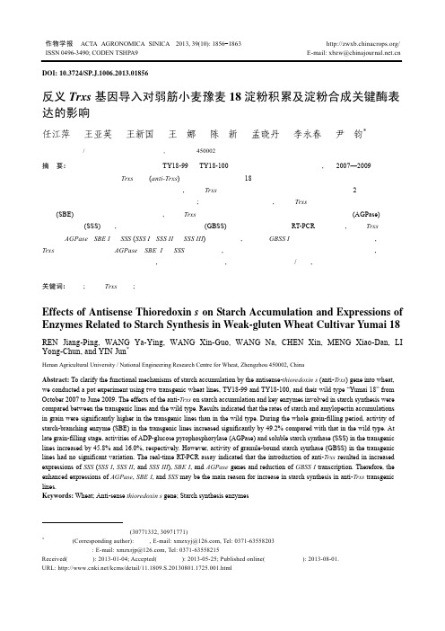 反义Trxs基因导入对弱筋小麦豫麦18淀粉积累及淀粉合成关键酶表达的影响