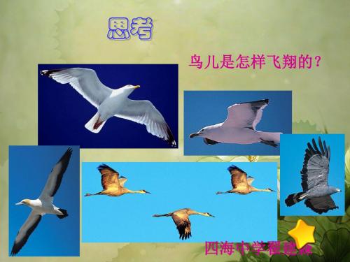 教科初中物理八下《10.1在流体中运动》PPT课件 (1)