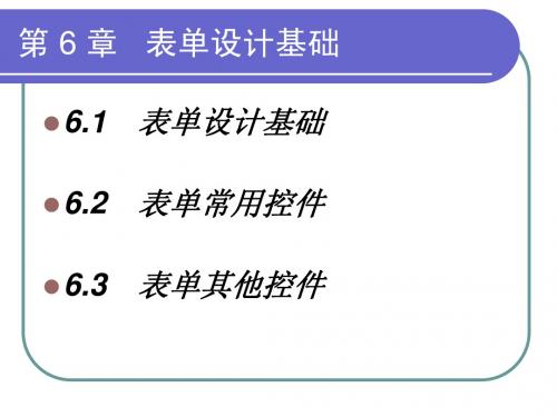 第6章   表单设计基础