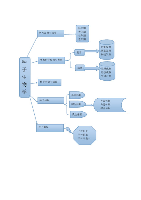 第二章思维导图