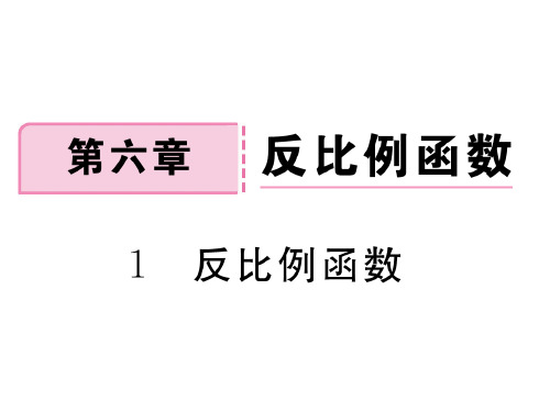 北师大版(江西专用)九年级数学上册习题课件：6.1 反比例函数 (共11张PPT)