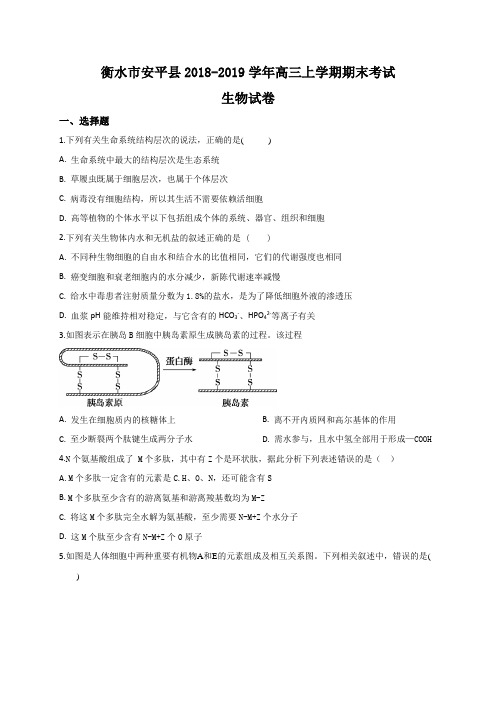 河北省衡水市安平县2019届高三上学期期末考试生物试题(含解析)