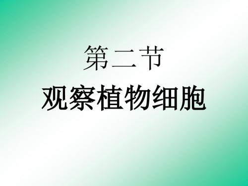 鲁科版生物六年级上册2.1.2《观察植物细胞》ppt课件1