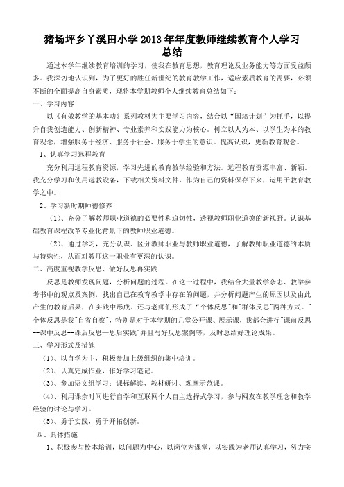 教师继续教育个人学习总结2013