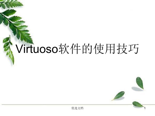 Virtuoso软件的使用技巧模板.ppt