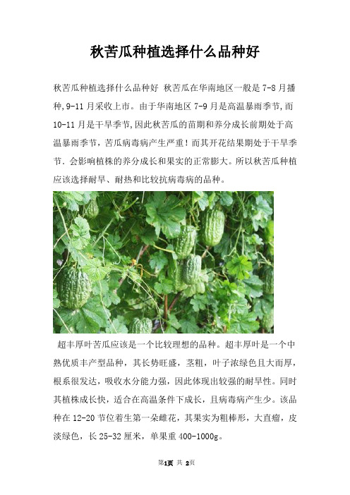 秋苦瓜种植选择什么品种好