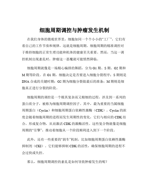 细胞周期调控与肿瘤发生机制