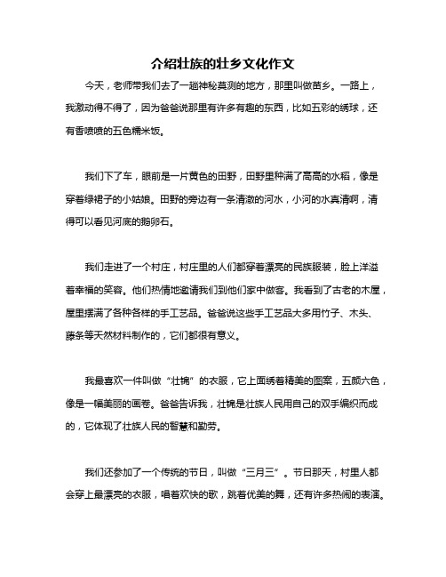 介绍壮族的壮乡文化作文