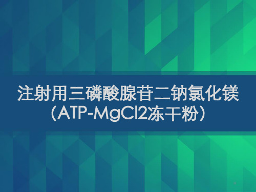 注射用三磷酸腺苷二钠氯化镁 (ATP-MgCl2冻干粉)PPT