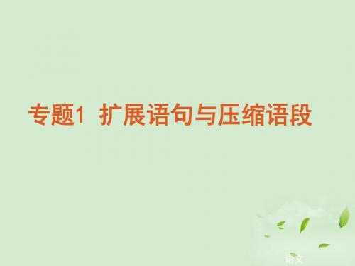 高考语文二轮复习 专题1扩展语句与压缩语段课件 苏教版