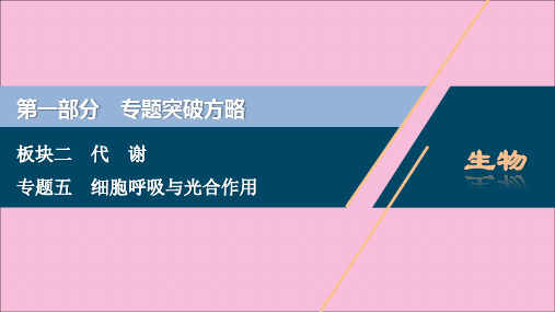 (新高考)2020高考生物二轮复习第一部分专题突破方略板块二代谢专题五细胞呼吸与光合作用课件