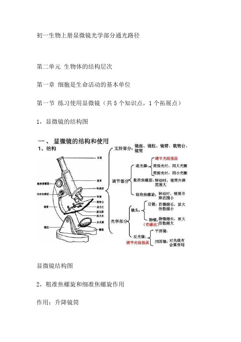 初一生物上册显微镜光学部分通光路径