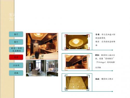 中原2011年星河湾豪宅体系研究第三部分