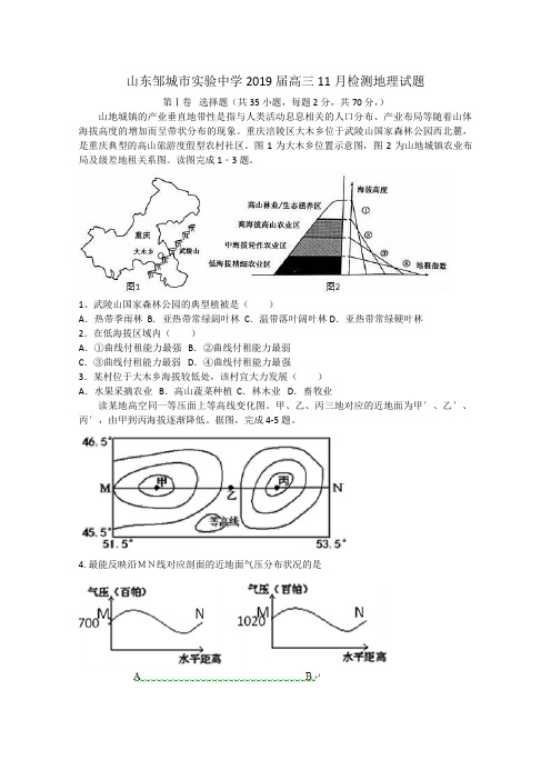 山东省邹城市实验中学2019届高三11月检测地理试题++Word版含解析