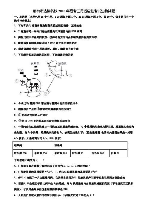 邢台市达标名校2018年高考三月适应性考试生物试题含解析