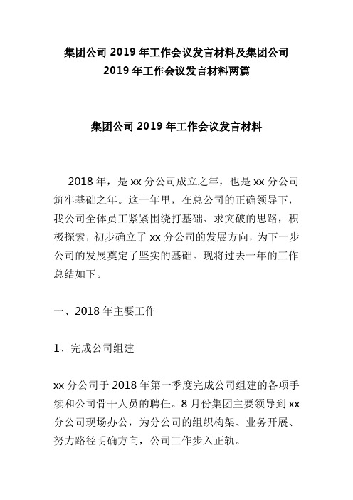 集团公司2019年工作会议发言材料及集团公司2019年工作会议发言材料两篇