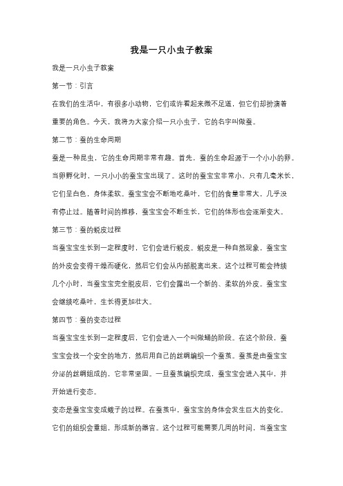 我是一只小虫子教案