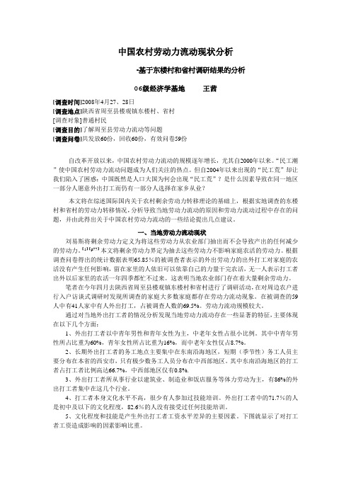 中国农村劳动力流动现状分析