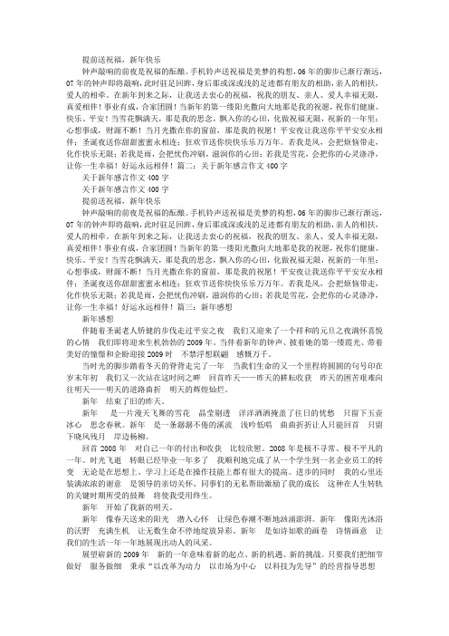 新年感想400