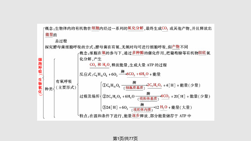 光合作用和呼吸作用专题PPT课件