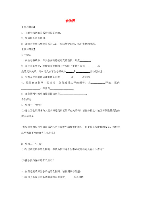 七年级生物下册 3.6.2食物网学案(无答案)(新版)苏科版