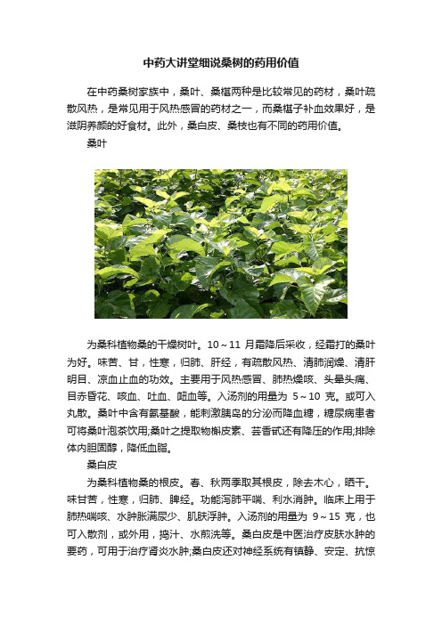 中药大讲堂细说桑树的药用价值