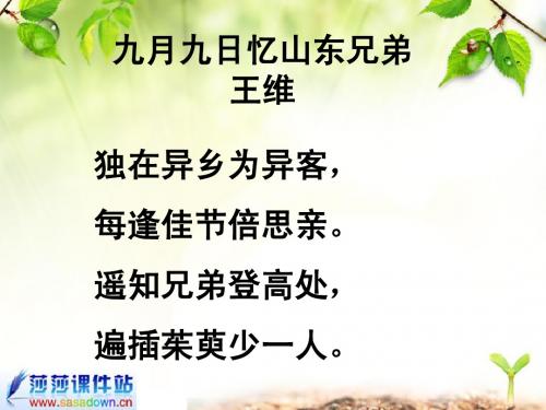 《但愿人长久》