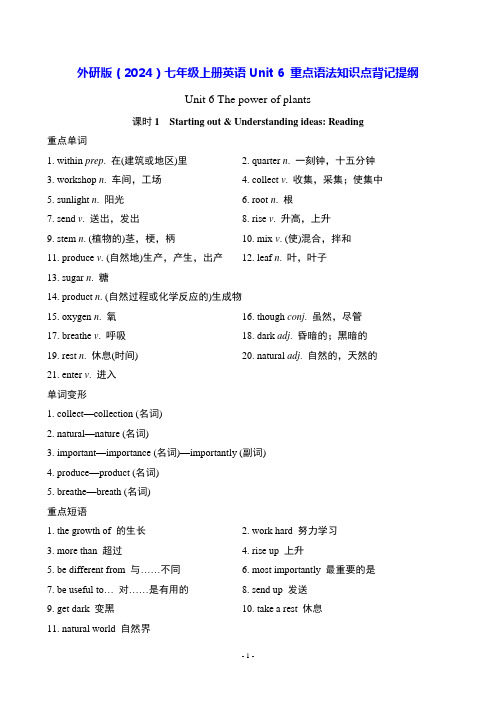 外研版(2024)七年级上册英语Unit 6 重点语法知识点背记提纲