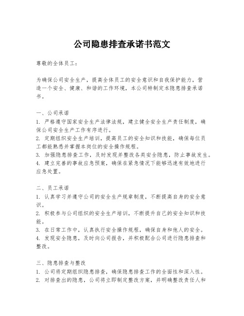 公司隐患排查承诺书范文