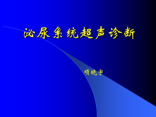 《超声影像诊断学》教学课件-泌尿系统超声诊断