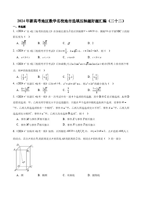 2024年新高考地区数学名校地市选填压轴题好题汇编(二十二)