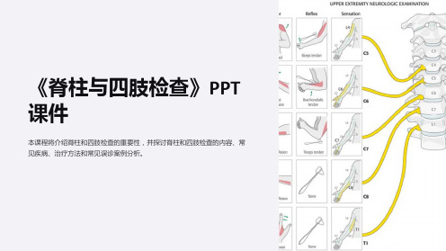 《脊柱与四肢检查》课件