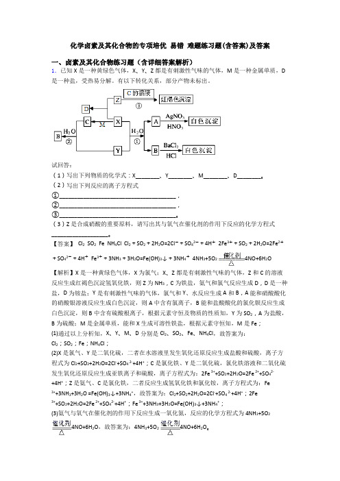 化学卤素及其化合物的专项培优 易错 难题练习题(含答案)及答案